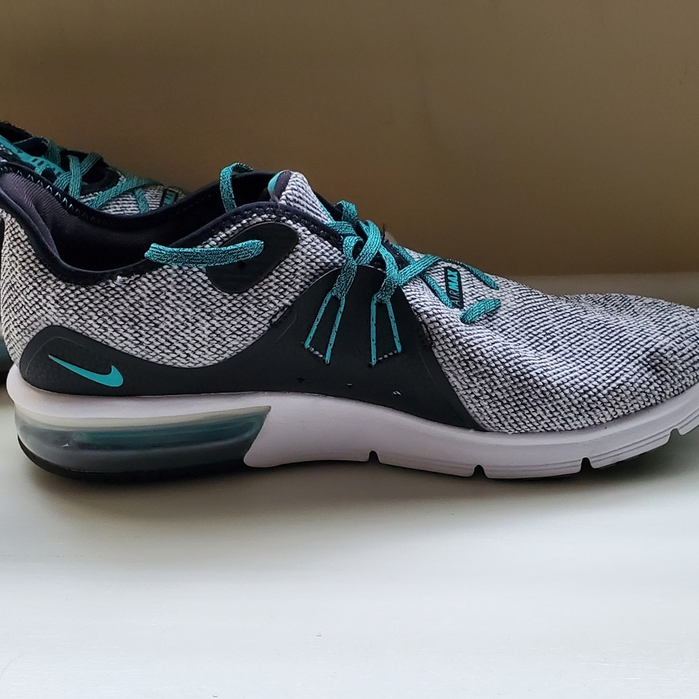 Nike Air Max Sneakers